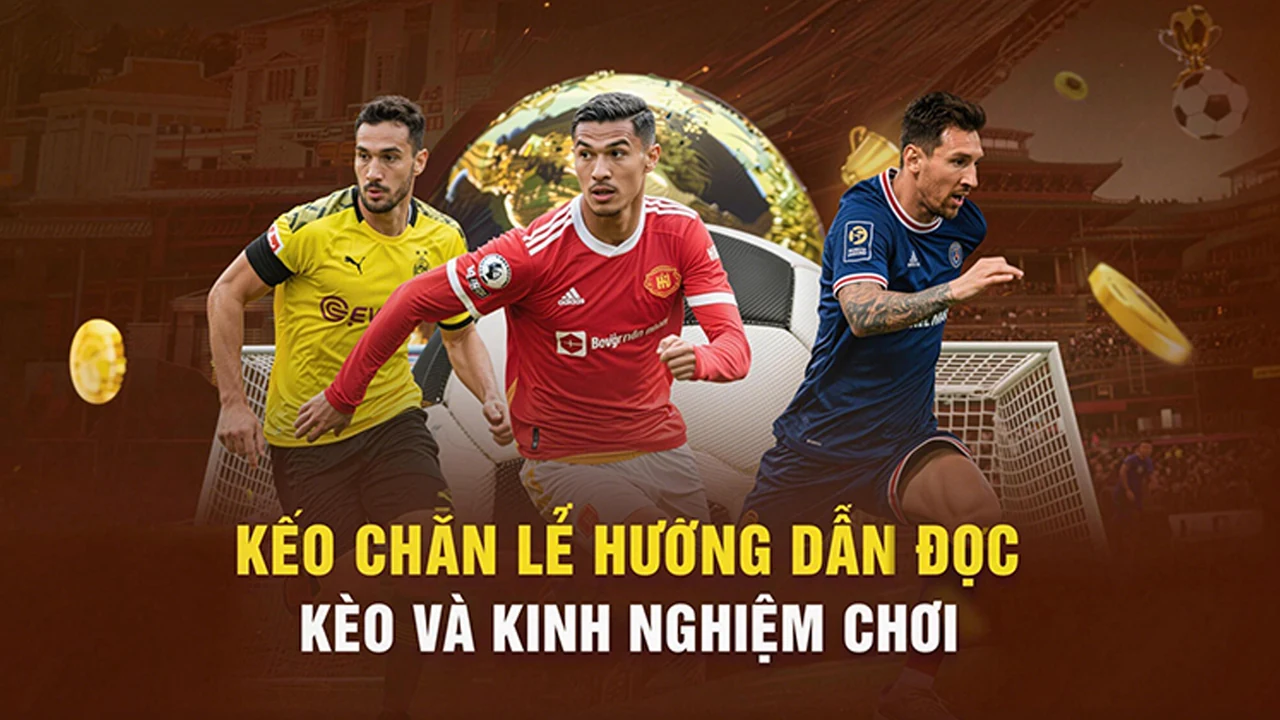 KINH NGHIỆM trên FB88 – bước kiểm tra thực tế